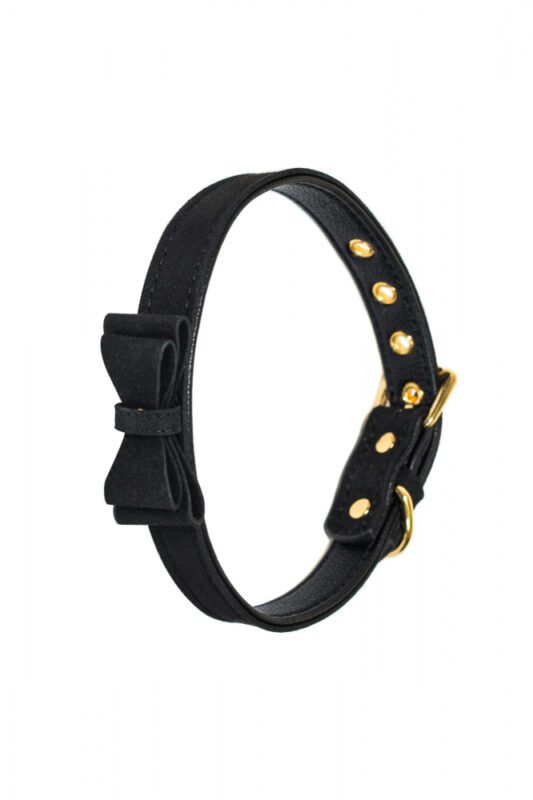 Halsband Kraag Met Gesp - Collar - BDSM - Bondage - Luxe Verpakking - Party Hard - Decadence - Zwart