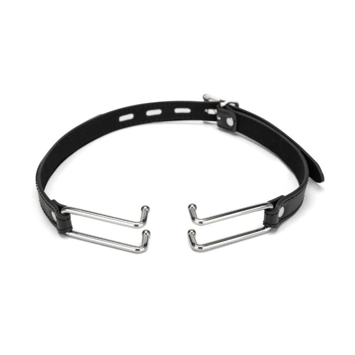 Me You Us Spider Gag