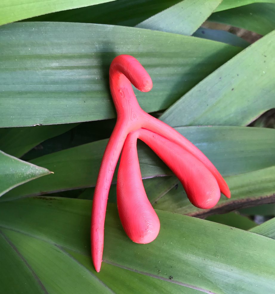 De clitoris: alles wat je moet weten over dit genotknopje