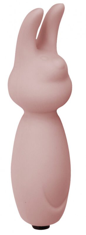 Emotions Funny Bunny Lichtroze