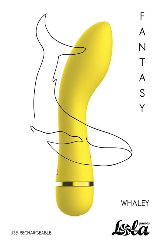 Oplaadbare Vibrator Fantasy Whaley Geel
