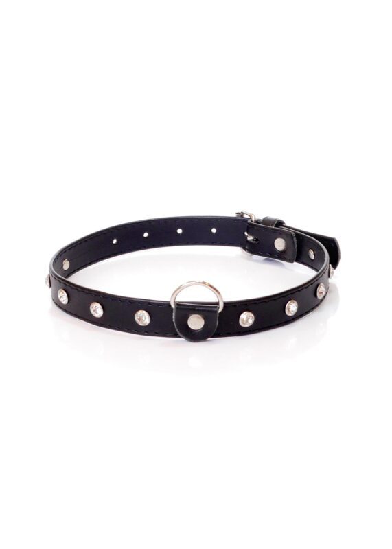 Fetish Collar - Halsband - 2 cm - Rood Diamant - Zilver