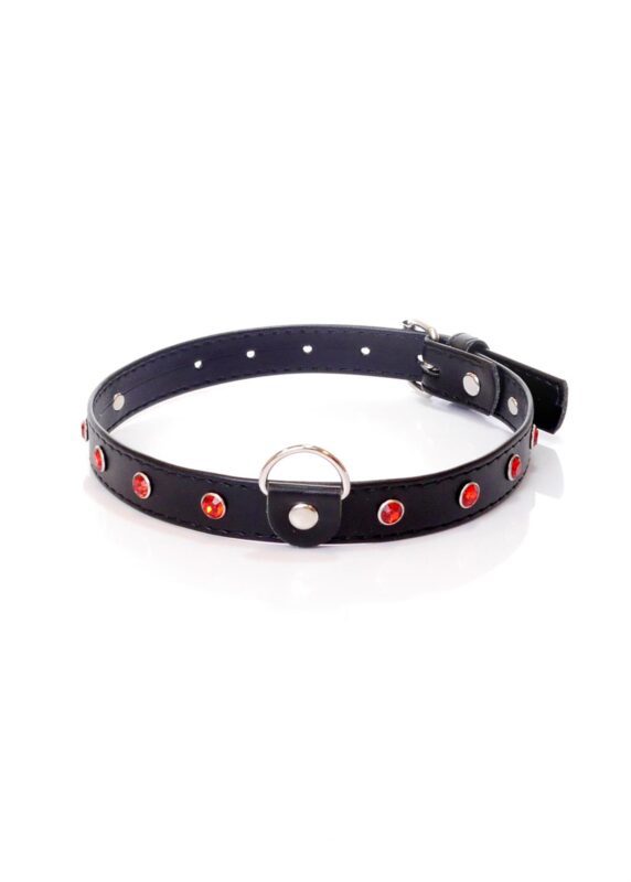 Fetish Collar - Halsband - 2 cm - Rood Diamant